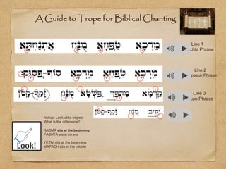 Line 1 
Etnachta Phrase 
A Guide to Trope for Biblical Chanting 
Line 2 
Sof pasuk Phrase 
Notice: Look alike tropes! 
What is the difference? 
KADMA sits at the beginning 
PASHTA sits at the end 
YETIV sits at the beginning 
MAPACH sits in the middle 
Line 3 
Katon Phrase 
 