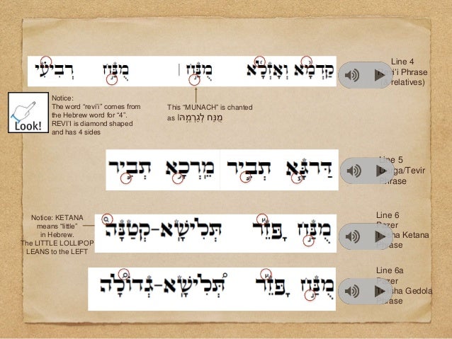 Torah trope.share