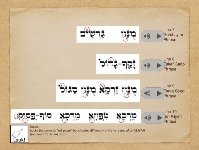 Torah trope.share
