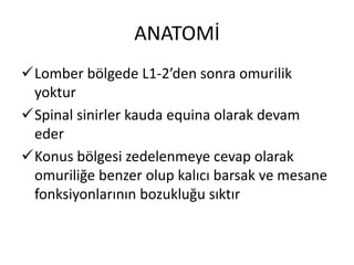 ANATOMİ
Lomber bölgede L1-2’den sonra omurilik
 yoktur
Spinal sinirler kauda equina olarak devam
 eder
Konus bölgesi zedelenmeye cevap olarak
 omuriliğe benzer olup kalıcı barsak ve mesane
 fonksiyonlarının bozukluğu sıktır
 