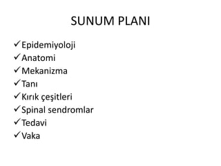 SUNUM PLANI
Epidemiyoloji
Anatomi
Mekanizma
Tanı
Kırık çeşitleri
Spinal sendromlar
Tedavi
Vaka
 