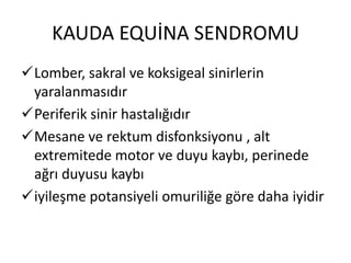 KAUDA EQUİNA SENDROMU
Lomber, sakral ve koksigeal sinirlerin
 yaralanmasıdır
Periferik sinir hastalığıdır
Mesane ve rektum disfonksiyonu , alt
 extremitede motor ve duyu kaybı, perinede
 ağrı duyusu kaybı
iyileşme potansiyeli omuriliğe göre daha iyidir
 