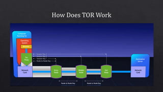 Tor Slide Tor and Deep Web - PPT | PPTX