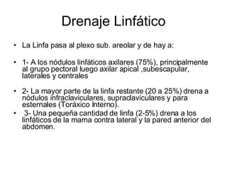 Drenaje Linfático La Linfa pasa al plexo sub. areolar y de hay a: 1- A los nódulos linfáticos axilares (75%), principalmente al grupo pectoral luego axilar apical ,subescapular, laterales y centrales 2- La mayor parte de la linfa restante (20 a 25%) drena a nódulos infraclaviculares, supraclaviculares y para esternales (Toráxico Interno). 3- Una pequeña cantidad de linfa (2-5%) drena a los linfáticos de la mama contra lateral y la pared anterior del abdomen. 