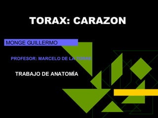 TORAX: CARAZON MONGE GUILLERMO PROFESOR: MARCELO DE LA TORRE TRABAJO DE ANATOMÍA 