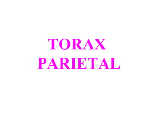 TORAX
PARIETAL

 