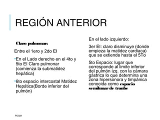 REGIÓN ANTERIOR
Claro pulmonar:
Entre el 1ero y 2do EI
•En el Lado derecho en el 4to y
5to EI Claro pulmonar
(comienza la submatidez
hepática)
•6to espacio intercostal Matidez
Hepática(Borde inferior del
pulmón)
PDGM
En el lado izquierdo:
3er EI: claro disminuye (donde
empieza la matidez cardiaca)
que se extiende hasta el 5To
5to Espacio: lugar que
corresponde al limite inferior
del pulmón izq. con la cámara
gástrica lo que determina una
zona hipersonora y timpánica
conocida como espacio
semilunarde traube
 