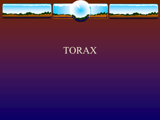 TORAX
 