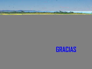 GRACIAS
 