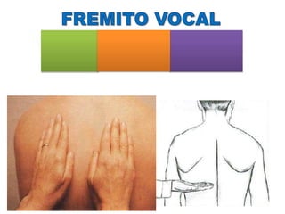 Vibraciones Por detrás hacia
de las delante y luego Palma de la mano
cuerdas lateral. 33 o o borde cubital
vocales Ferrocarril
 