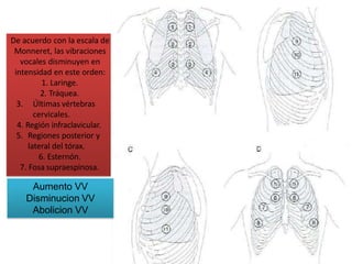 De acuerdo con la escala de
Monneret, las vibraciones
vocales disminuyen en
intensidad en este orden:
1. Laringe.
2. Tráquea.
3. Últimas vértebras
cervicales.
4. Región infraclavicular.
5. Regiones posterior y
lateral del tórax.
6. Esternón.
7. Fosa supraespinosa.
Aumento VV
Disminucion VV
Abolicion VV
 