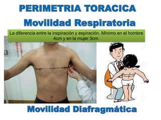 La diferencia entre la inspiración y espiración. Mínimo en el hombre
4cm y en la mujer 3cm.
 