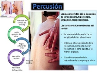 Percusión de
campos de
Kroning
región
posterior de
tórax
Región
anterior de
tórax
Percusión
columna
Percusión
esternal
Movilidad
diafragmática
Sonidos obtenidos por la percusión
de torax: sonoro, hipersonoro,
timpanico, mate y submate.
Los caracteres fundamentales del
sonido:
• La intensidad depende de la
amplitud de las vibraciones.
• El tono o altura depende de la
frecuencia, siendo la mayor
frecuencia el tono agudo, y la
menor el grave.
• El timbre depende de la
naturaleza del cuerpo que vibra.
 