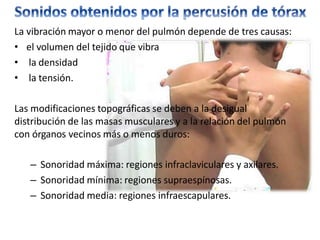 La vibración mayor o menor del pulmón depende de tres causas:
• el volumen del tejido que vibra
• la densidad
• la tensión.
Las modificaciones topográficas se deben a la desigual
distribución de las masas musculares y a la relación del pulmón
con órganos vecinos más o menos duros:
– Sonoridad máxima: regiones infraclaviculares y axilares.
– Sonoridad mínima: regiones supraespínosas.
– Sonoridad media: regiones infraescapulares.
 
