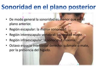• De modo general la sonoridad es menor que en el
plano anterior.
• Región escapular: la menor sonoridad.
• Región interescapulo vertebral: sonoridad mayor.
• Región infraescapular: la sonoridad máxima.
• Octavo espacio intercostal derecho: submate o mate,
por la presencia del hígado.
 