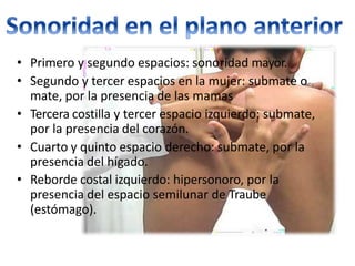• Primero y segundo espacios: sonoridad mayor.
• Segundo y tercer espacios en la mujer: submate o
mate, por la presencia de las mamas
• Tercera costilla y tercer espacio izquierdo: submate,
por la presencia del corazón.
• Cuarto y quinto espacio derecho: submate, por la
presencia del hígado.
• Reborde costal izquierdo: hipersonoro, por la
presencia del espacio semilunar de Traube
(estómago).
 