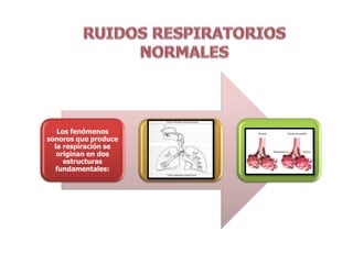 Los fenómenos
sonoros que produce
la respiración se
originan en dos
estructuras
fundamentales:
 
