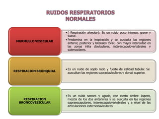 • ( Respiración alveolar): Es un ruido poco intenso, grave y
suave.
• Predomina en la inspiración y se ausculta las regiones
anterior, posterior y laterales tórax, con mayor intensidad en
las zonas infra claviculares, interescapulovertebrales y
submaxilares.
MURMULLO VESICULAR
• Es un ruido de soplo rudo y fuerte de calidad tubular. Se
auscultan las regiones supraclaviculares y dorsal superior.
RESPIRACION BRONQUIAL
• Es un ruido sonoro y agudo, con cierto timbre áspero,
mezcla de los dos anteriores y se ausculta en las regiones
supraescapulares, interescapulovertebrales y a nivel de las
articulaciones esternoclaviculares
RESPIRACION
BRONCOVESICULAR
 