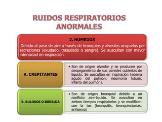 2. HUMEDOS
Debido al paso de aire a través de bronquios y alveolos ocupados por
secreciones (exudado, trasudado o sangre). Se auscultan con mayor
intensidad en inspiración.
• Son de origen alveolar y se producen por
despegamiento de sus paredes cubiertas de
liquido. Se auscultan en inspiración (edema
agudo del pulmón, neumonía lobular,
infarto del pulmón).
A. CREPITANTES
• Son de origen bronquial debido a un
conflicto aire-liquido. Se auscultan en
ambos tiempos respiratorios y se modifican
con la tos (bronquitis, bronquiectasias,
enfisema)
B. BULOSOS O BURBUJA
 