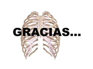 GRACIAS…
 