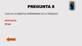 PREGUNTA 8
CUAL ES LA LONGITUD APROXIMADA DE LA TRAQUEA?
RESPUESTA:
12 cm
 