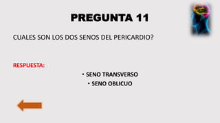 PREGUNTA 11
CUALES SON LOS DOS SENOS DEL PERICARDIO?
RESPUESTA:
• SENO TRANSVERSO
• SENO OBLICUO
 