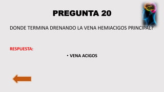 PREGUNTA 20
DONDE TERMINA DRENANDO LA VENA HEMIACIGOS PRINCIPAL?
RESPUESTA:
• VENA ACIGOS
 