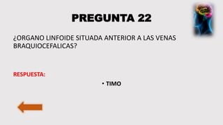 PREGUNTA 22
¿ORGANO LINFOIDE SITUADA ANTERIOR A LAS VENAS
BRAQUIOCEFALICAS?
RESPUESTA:
• TIMO
 