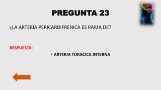 PREGUNTA 23
¿LA ARTERIA PERICARDIFRENICA ES RAMA DE?
RESPUESTA:
• ARTERIA TORACICA INTERNA
 