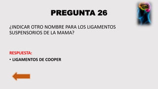 PREGUNTA 26
¿INDICAR OTRO NOMBRE PARA LOS LIGAMENTOS
SUSPENSORIOS DE LA MAMA?
RESPUESTA:
• LIGAMENTOS DE COOPER
 