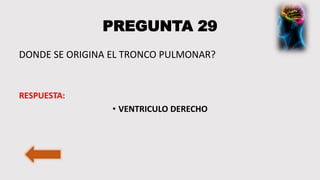 PREGUNTA 29
DONDE SE ORIGINA EL TRONCO PULMONAR?
RESPUESTA:
• VENTRICULO DERECHO
 
