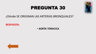 PREGUNTA 30
¿Dónde SE ORIGINAN LAS ARTERIAS BRONQUIALES?
RESPUESTA:
• AORTA TORACICA
 