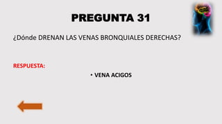 PREGUNTA 31
¿Dónde DRENAN LAS VENAS BRONQUIALES DERECHAS?
RESPUESTA:
• VENA ACIGOS
 