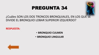 PREGUNTA 34
¿Cuáles SON LOS DOS TRONCOS BRONQUIALES, EN LOS QUE SE
DIVIDE EL BRONQUIO LOBAR SUPERIOR IZQUIERDO?
RESPUESTA:
• BRONQUIO CULMEN
• BRONQUIO LINGULAR
 