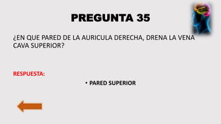PREGUNTA 35
¿EN QUE PARED DE LA AURICULA DERECHA, DRENA LA VENA
CAVA SUPERIOR?
RESPUESTA:
• PARED SUPERIOR
 