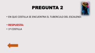 PREGUNTA 2
• EN QUE COSTILLA SE ENCUENTRA EL TUBERCULO DEL ESCALENO:
• RESPUESTA:
• 1º COSTILLA
 