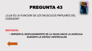 PREGUNTA 43
¿Cuál ES LA FUNCION DE LOS MUSCULOS PAPILARES DEL
CORAZON?
RESPUESTA:
• IMPEDIR EL DESPLAZAMIENTO DE LA VALVA HACIA LA AURICULA
DURANTE LA SISTOLE VENTRICULAR
 