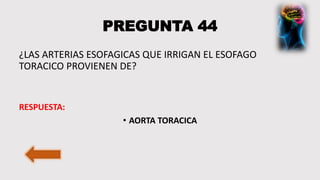 PREGUNTA 44
¿LAS ARTERIAS ESOFAGICAS QUE IRRIGAN EL ESOFAGO
TORACICO PROVIENEN DE?
RESPUESTA:
• AORTA TORACICA
 