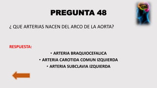 PREGUNTA 48
¿ QUE ARTERIAS NACEN DEL ARCO DE LA AORTA?
RESPUESTA:
• ARTERIA BRAQUIOCEFALICA
• ARTERIA CAROTIDA COMUN IZQUIERDA
• ARTERIA SUBCLAVIA IZQUIERDA
 