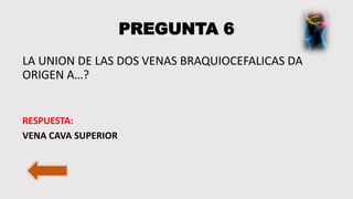 PREGUNTA 6
LA UNION DE LAS DOS VENAS BRAQUIOCEFALICAS DA
ORIGEN A…?
RESPUESTA:
VENA CAVA SUPERIOR
 