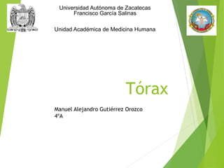 Tórax
Universidad Autónoma de Zacatecas
Francisco García Salinas
Unidad Académica de Medicina Humana
Manuel Alejandro Gutiérrez Orozco
4ºA
 