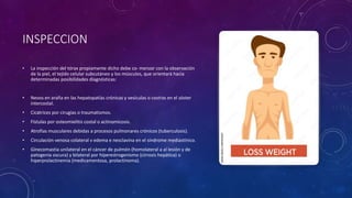 INSPECCION
• La inspección del tórax propiamente dicho debe co- menzar con la observación
de la piel, el tejido celular subcutáneo y los músculos, que orientará hacia
determinadas posibilidades diagnósticas:
• Nevos en araña en las hepatopatías crónicas y vesículas o costras en el zóster
intercostal.
• Cicatrices por cirugías o traumatismos.
• Fístulas por osteomielitis costal o actinomicosis.
• Atrofias musculares debidas a procesos pulmonares crónicos (tuberculosis).
• Circulación venosa colateral v edema e nesclavina en el síndrome mediastínico.
• Ginecomastia unilateral en el cáncer de pulmón (homolateral a al lesión y de
patogenia oscura) y bilateral por hiperestrogenismo (cirrosis hepática) o
hiperprolactinemia (medicamentosa, prolactinoma).
 