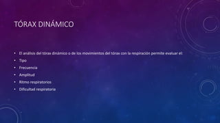 TÓRAX DINÁMICO
• El análisis del tórax dinámico o de los movimientos del tórax con la respiración permite evaluar el:
• Tipo
• Frecuencia
• Amplitud
• Ritmo respiratorios
• Dificultad respiratoria
 