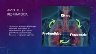 AMPLITUD
RESPIRATORIA
• Su aumento se denomina batipnea o
respiración procon ciclos de
respiraciones de igual o distinta
profunfunda y su disminución,
hipopnea o respiración superficial
 