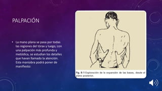 PALPACIÓN
• La mano plana se pasa por todas
las regiones del tórax y luego, con
una palpación más profunda y
metódica, se estudian los detalles
que havan llamado la atención.
Esta maniobra podrá poner de
manifiesto:
 