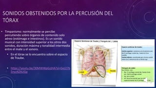 • Timpanismo: normalmente se percibe
percutiendo sobre órganos de contenido solo
aéreo (estómago e intestinos). Es un sonido
musical con intensidad superior a los otros dos
sonidos, duración máxima y tonalidad intermedia
entre el mate y el sonoro.
• En el tórax se lo encuentra sobre el espacio
de Traube.
• https://youtu.be/30MWWpGzjHA?si=GeJ27b
5nyz4ZAUGp
SONIDOS OBSTENIDOS POR LA PERCUSIÓN DEL
TÓRAX
 