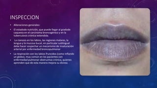INSPECCION
• Alteraciones generales:
• El estadode nutrición, que puede llegar al gradode
caquexia en el carcinoma broncogénico y en la
tuberculosis crónica extendida.
• La cianosis en los labios, las regiones malares, la
lengua y la mucosa bucal, en particular sublingual
debe hacer sospechar un mecanismo de insaturación
arterial por enfermedad broncopulmonar
• La respiración con los labios fruncidos (como inflando
un globo), muy común en los pacientes con
enfermedad pulmonar obstructiva crónica, quienes
aprenden que de esta manera mejora su disnea.
 