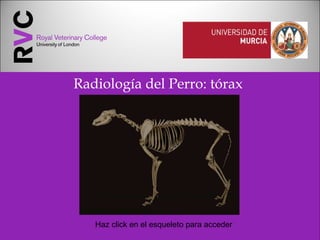 Radiología del Perro: tórax
Haz click en el esqueleto para acceder
 