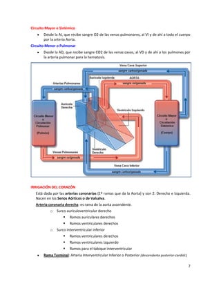 Mediastino y Corazón