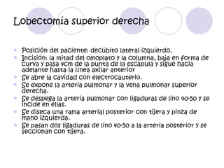 Lobectomía superior derecha

   Posición del paciente: decúbito lateral izquierdo.
   Incisión: la mitad del omoplato y la columna, baja en forma de
    curva y pasa 4cm de la punta de la escápula y sigue hacia
    adelante hasta la línea axilar anterior
   Se abre la cavidad con electrocauterio.
   Se expone la arteria pulmonar y la vena pulmonar superior
    derecha.
   Se despega la arteria pulmonar con ligaduras de lino 40-50 y se
    incide en ellas.
   Se diseca una rama arterial posterior con tijera y pinza de
    mano izquierda.
   Se pasan dos ligaduras de lino 40-50 a la arteria posterior y se
    seccionan con tijera.
 